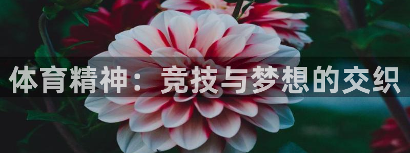 欧亿体育官方正版app开户：体育精神：竞技与梦想的交