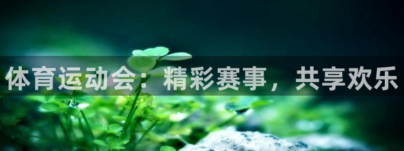 oety欧亿体育官网下载娱乐：体育运动会：精彩赛事，