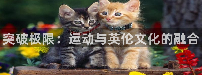 oety欧亿体育官网下载招商电话号码查询是多少：突破