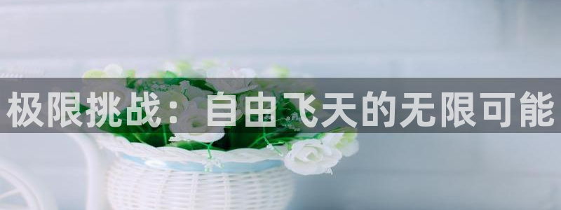 欧亿体育官方正版app开户：极限挑战：自由飞天的无限