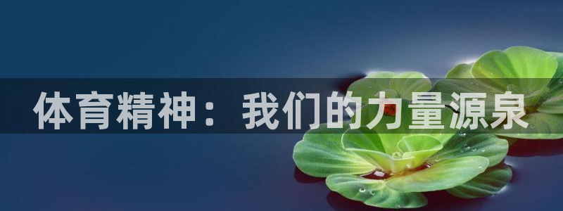 欧亿体育官方正版app娱乐下载：体育精神：我们的力量源泉
