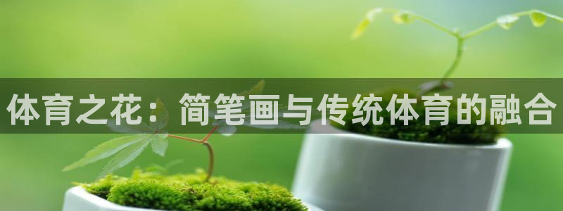 欧亿平台在线：体育之花：简笔画与传统