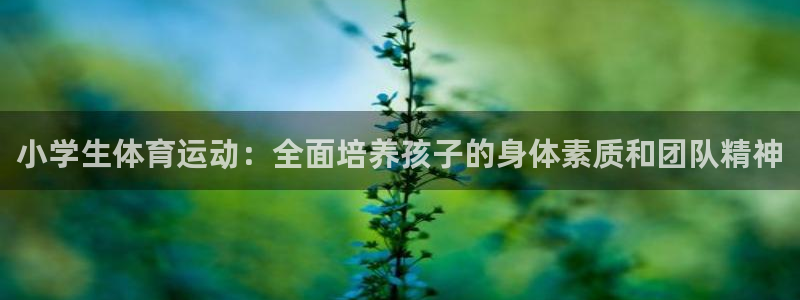 欧亿平台登录地址：小学生体育运动：全